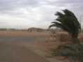 /album/alice-to-coober-pedy/a10-coober-pedy-sandstrom-jpg/